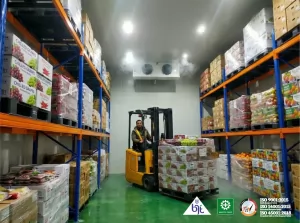 Harga cold storage chiller freezer di Lumajang